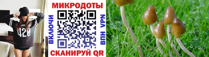 Псилоцибиновые грибы MAGIC MUSHROOMS  цены наркотик  мега tor  Альметьевск 